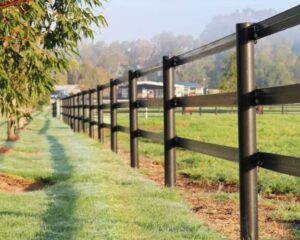 fence posts 