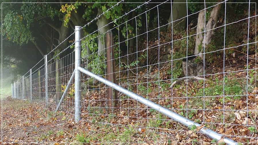 Metal Fence Posts