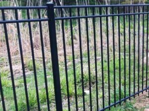 Steel Fenced in garden outdoors 