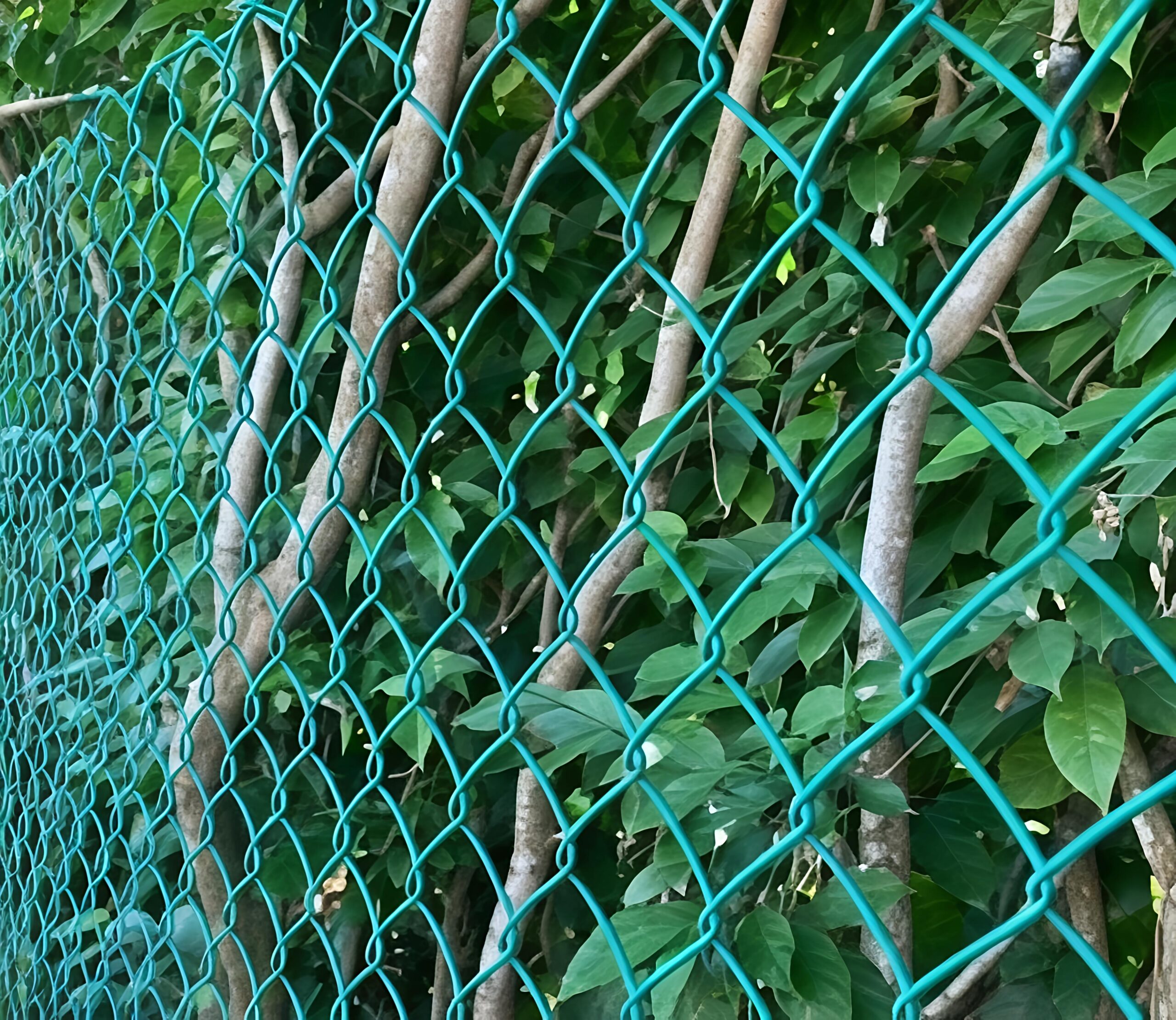 Chain Link Fence Price in Saudi Arabia
