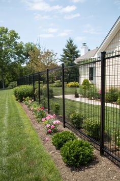 Transparent Chain Link Fence 
