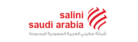 Salini saudi Arabia